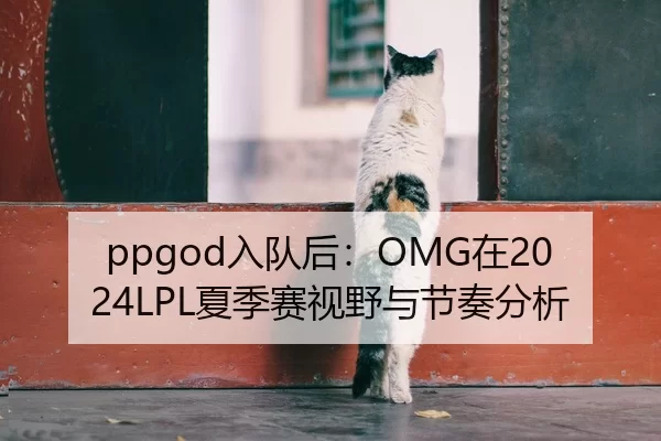ppgod入队后：OMG在2024LPL夏季赛视野与节奏分析